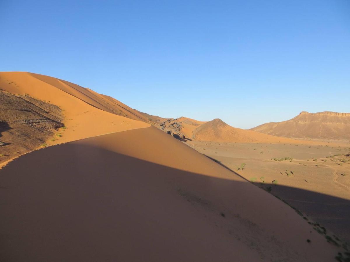 Hotel Auberge Dinosaur Sahara Maroc Tafraoute Sidi Ali Exterior foto